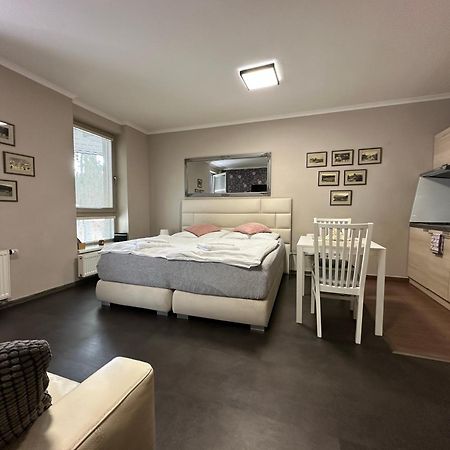 Harrachov Resident Apartments "Terrace & Chill" - High Speed Wifi, Smart Tv, Netflix, Disney Plus Екстер'єр фото