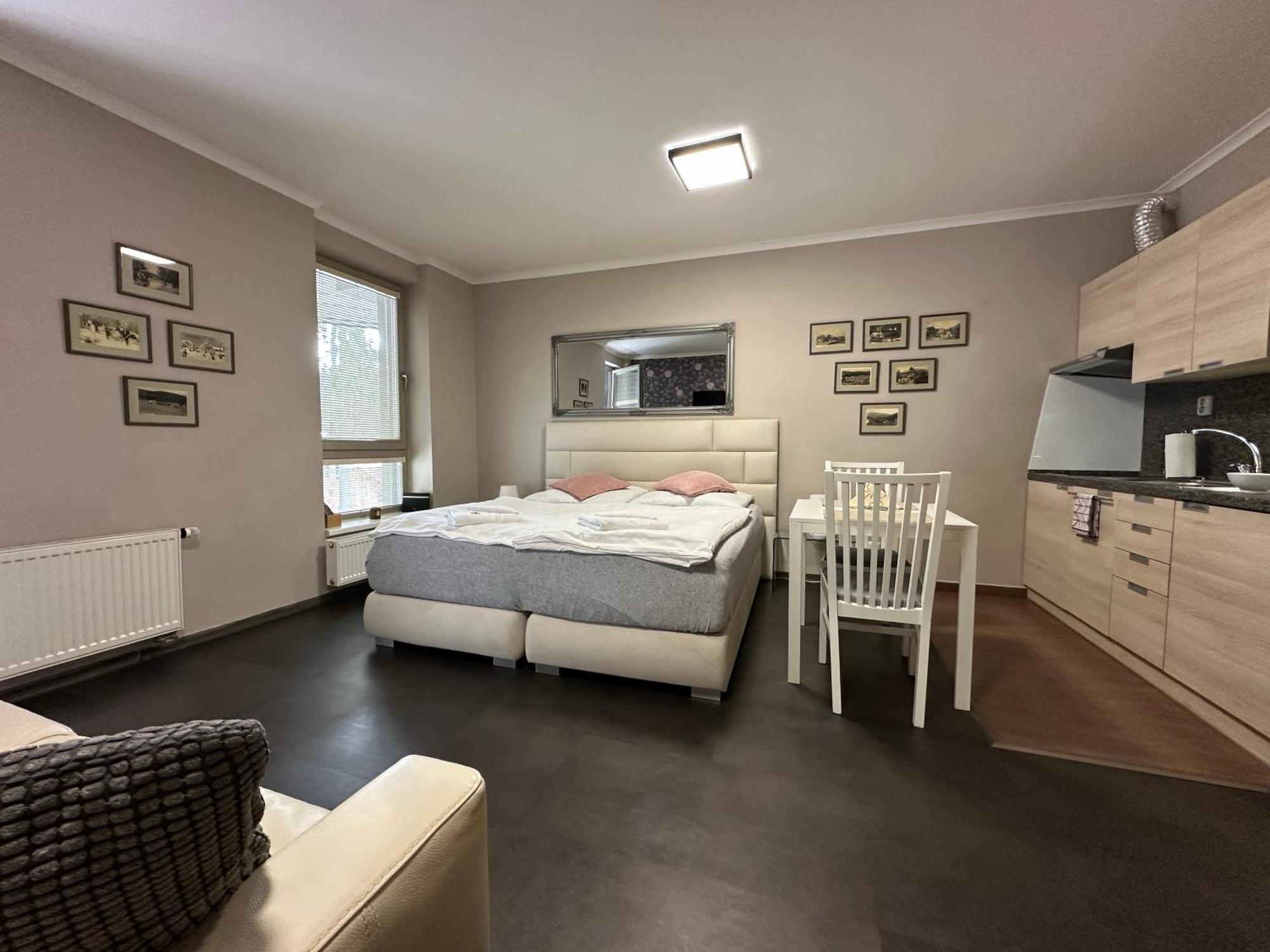 Harrachov Resident Apartments "Terrace & Chill" - High Speed Wifi, Smart Tv, Netflix, Disney Plus Екстер'єр фото