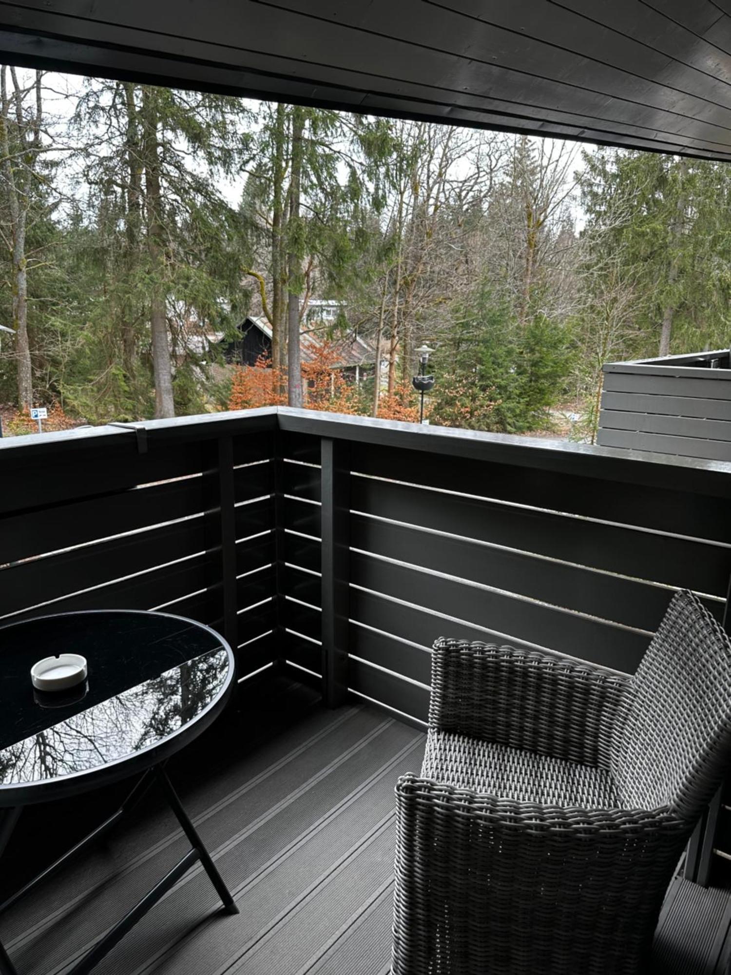 Harrachov Resident Apartments "Terrace & Chill" - High Speed Wifi, Smart Tv, Netflix, Disney Plus Екстер'єр фото