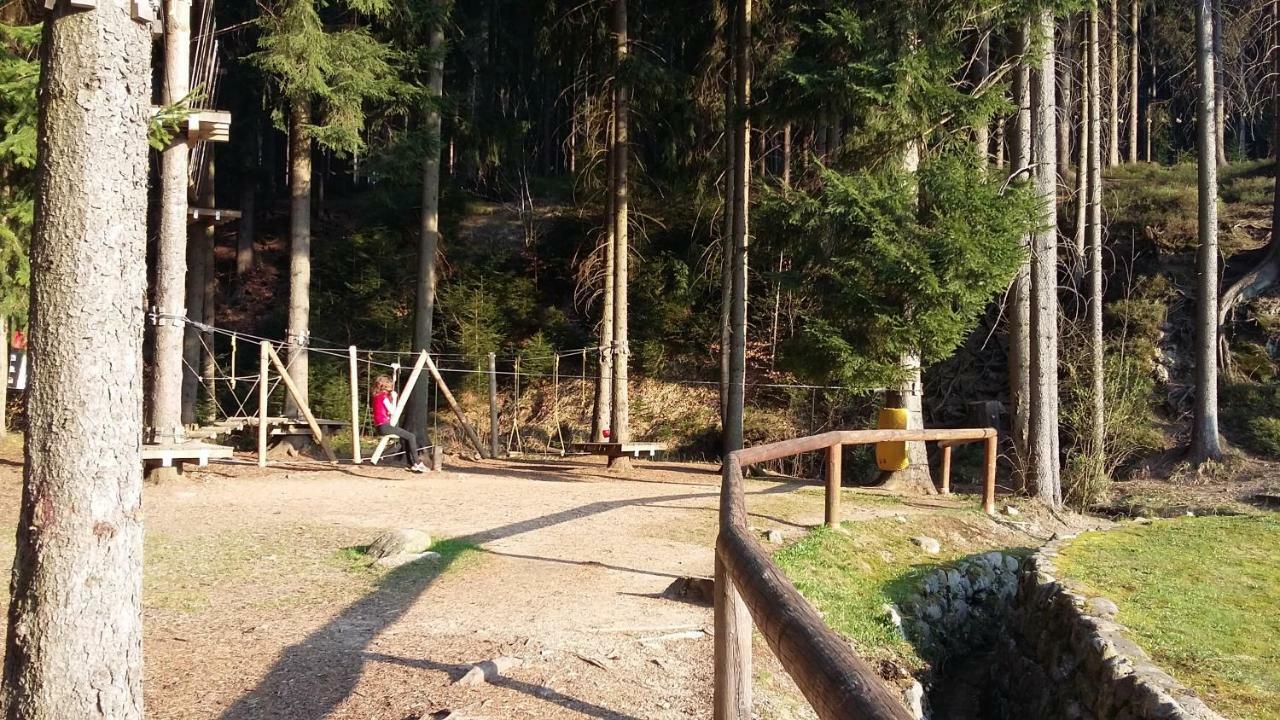 Harrachov Resident Apartments "Terrace & Chill" - High Speed Wifi, Smart Tv, Netflix, Disney Plus Екстер'єр фото